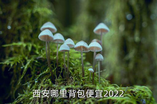 西安哪里背包便宜2022