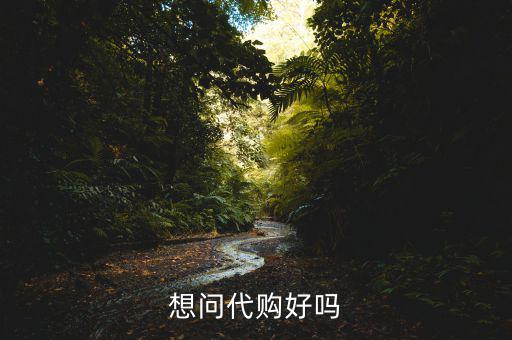 想问代购好吗
