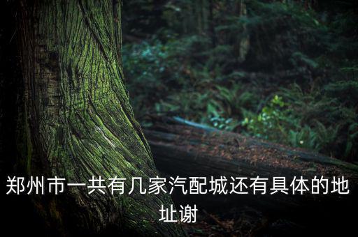 郑州市一共有几家汽配城还有具体的地址谢