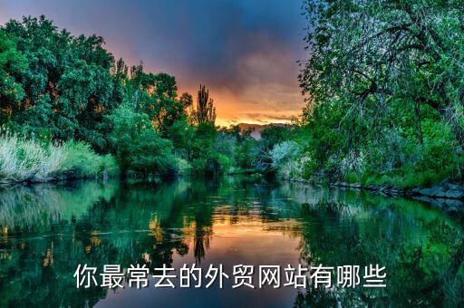 你最常去的外贸网站有哪些