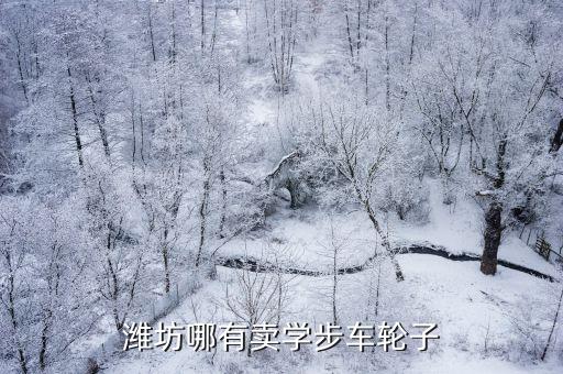 潍坊哪有卖学步车轮子