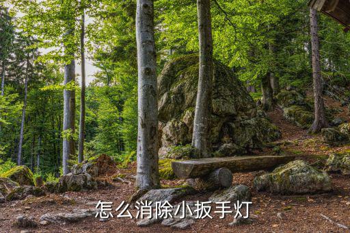 怎么消除小扳手灯