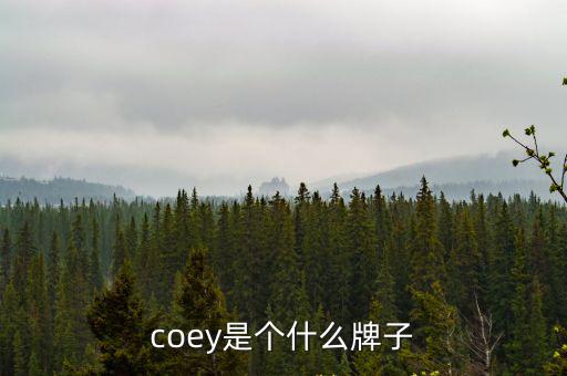 coey是个什么牌子