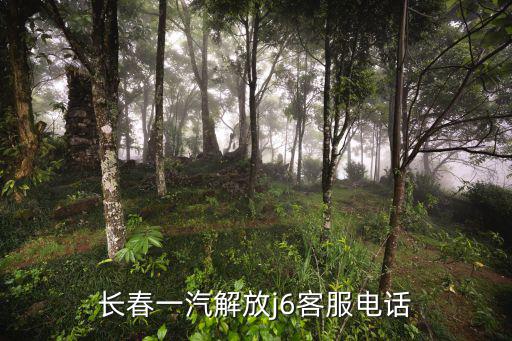 长春一汽解放j6客服电话