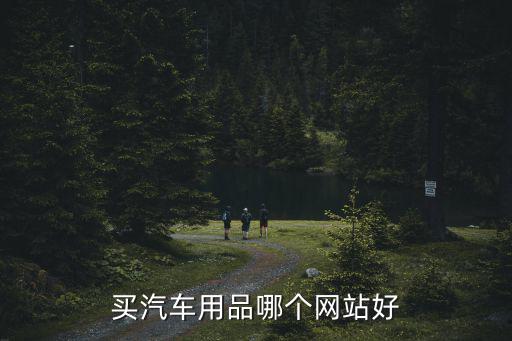 买汽车用品哪个网站好