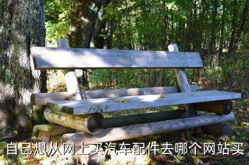 自己想从网上买汽车配件去哪个网站买
