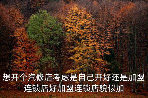 汽配加盟好还是自己开店好一点，开汽修店自己做好还是做加盟