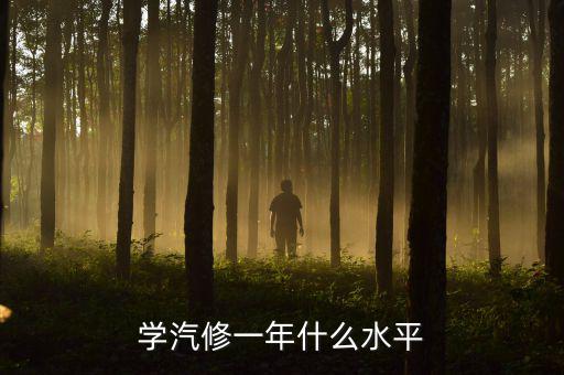 学汽修一年什么水平