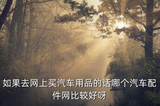如果去网上买汽车用品的话哪个汽车配件网比较好呀