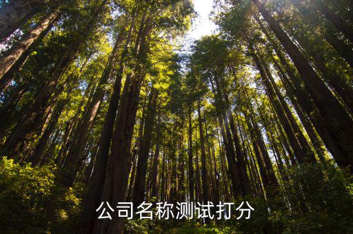 公司名称测试打分