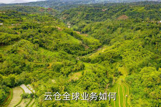 云仓招商，云仓全球业务如何