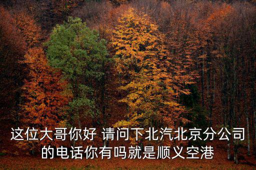 这位大哥你好 请问下北汽北京分公司的电话你有吗就是顺义空港