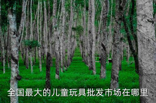 全国最大的儿童玩具批发市场在哪里