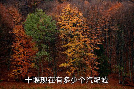 十堰现在有多少个汽配城