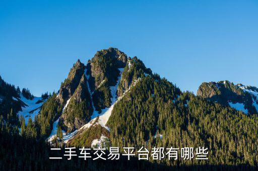 二手车交易平台都有哪些