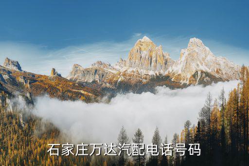 石家庄万达汽配电话号码