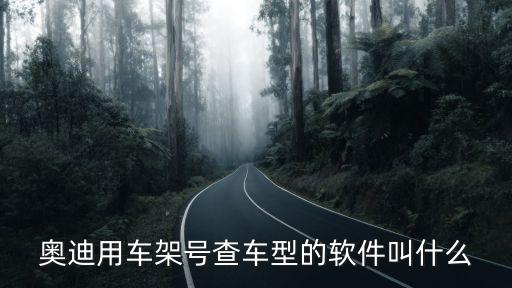 奥迪用车架号查车型的软件叫什么