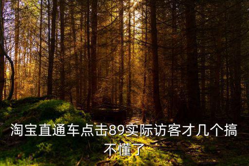 淘宝直通车点击89实际访客才几个搞不懂了