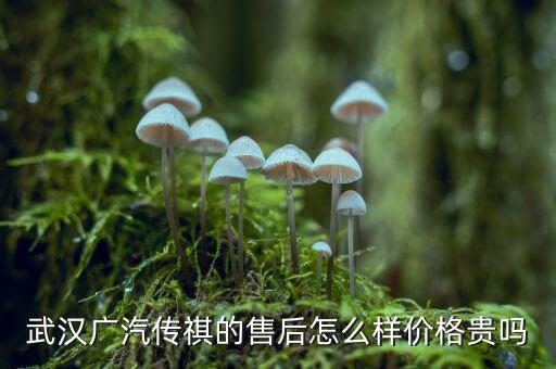 武汉广汽传祺的售后怎么样价格贵吗