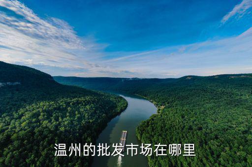 温州批发包市场在哪里，浙江温州皮包批发市场在哪里