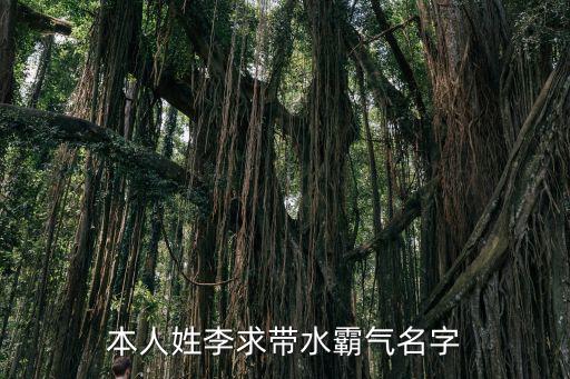 本人姓李求带水霸气名字