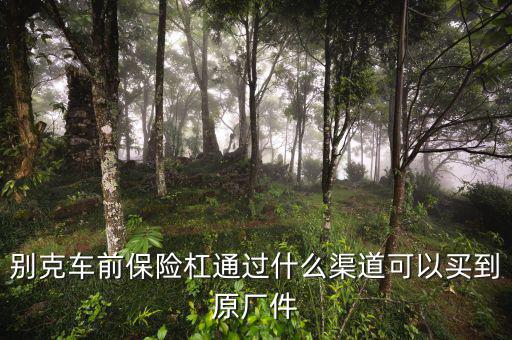 别克车前保险杠通过什么渠道可以买到原厂件