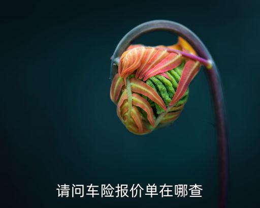 车险查询报价，想查我车险各项都交多少钱怎么查