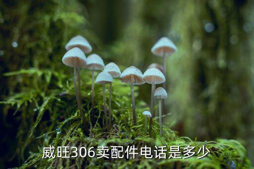 威旺306卖配件电话是多少