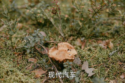 现代汽车