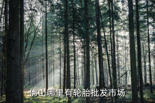 佛山哪里有轮胎批发市场