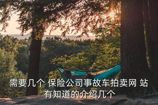 需要几个 保险公司事故车拍卖网 站 有知道的介绍几个