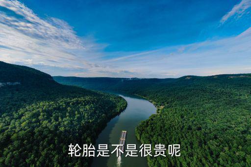 轮胎是不是很贵呢