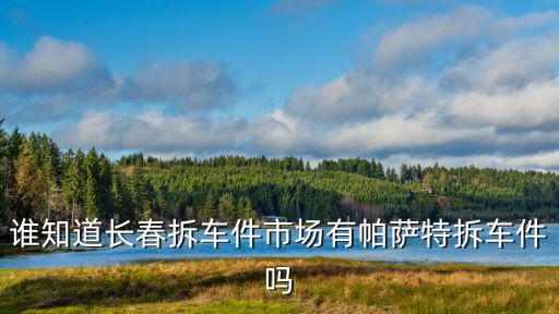 长春哪里有拆车件，长春小车拆车厂在什么位置