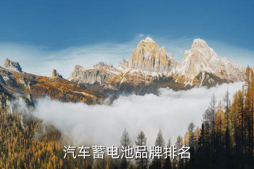 汽车蓄电池品牌排名