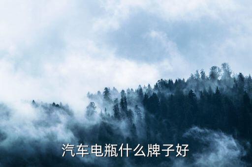 汽车电瓶哪个牌子质量好，汽车电瓶什么牌子好