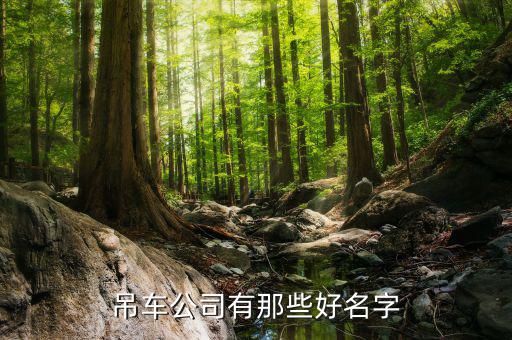 吊车公司有那些好名字