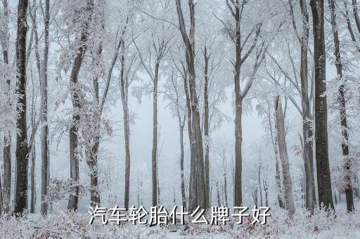 汽车轮胎什么牌子好