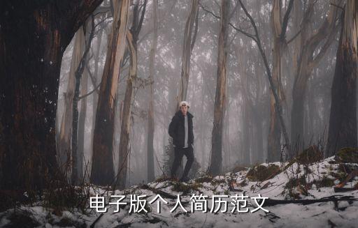 电子版个人简历范文