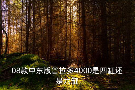 08款中东版普拉多4000是四缸还是六缸