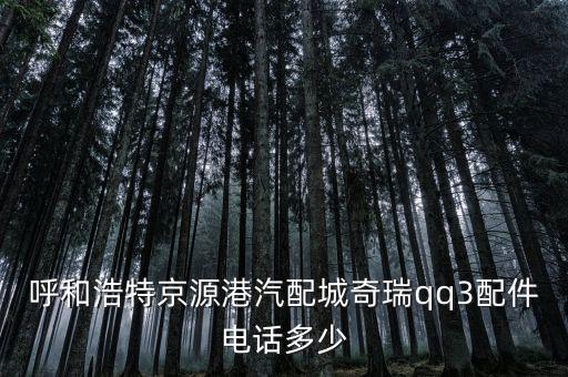 呼和浩特京源港汽配城奇瑞qq3配件电话多少