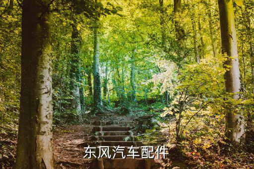 东风汽车配件