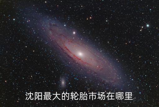 沈阳最大的轮胎市场在哪里