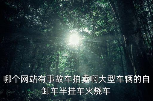 哪个网站有事故车拍卖啊大型车辆的自卸车半挂车火烧车