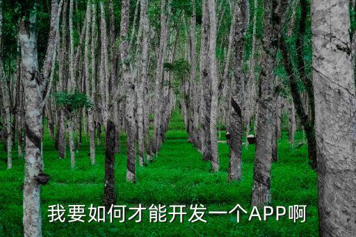 我要如何才能开发一个APP啊