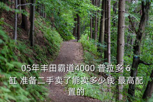 05年丰田霸道4000 普拉多 6缸 准备二手卖了能卖多少钱 最高配置的