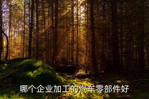 哪个企业加工的汽车零部件好