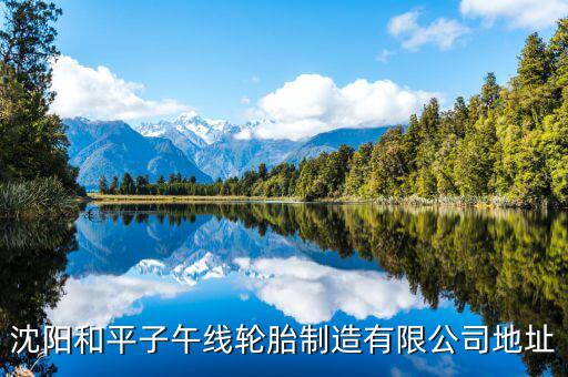 沈阳和平子午线轮胎制造有限公司地址