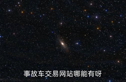 事故车交易网站哪能有呀