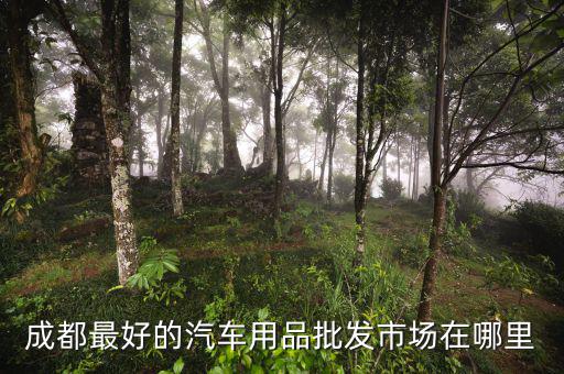 成都最好的汽车用品批发市场在哪里