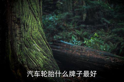 汽车轮胎什么牌子最好